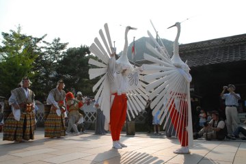 Heron Dance