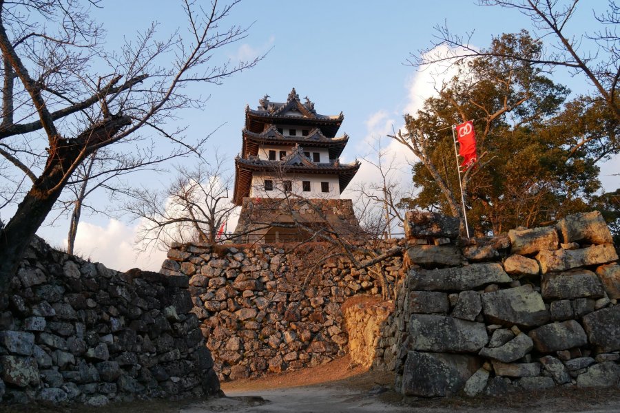 Sumoto Castle From the Sengoku Period