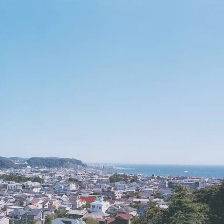 Why I Want to Visit Japan Again Why I Want to Visit Japan Again