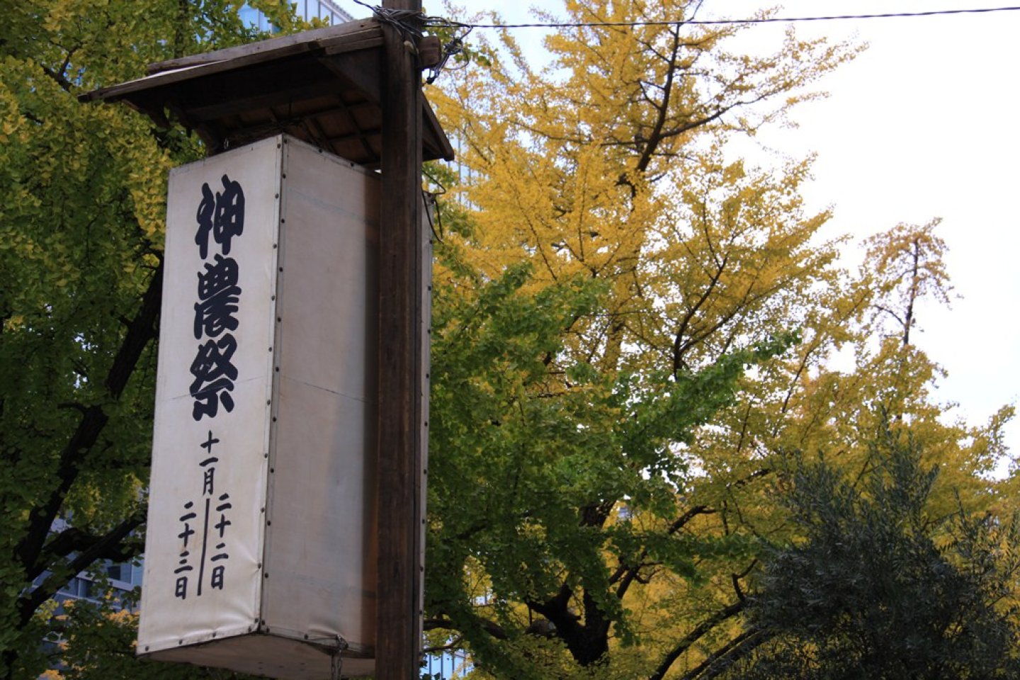 Shinno-sai Festival