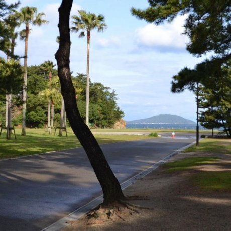 Odo Park in Fukuoka City Odo Park in Fukuoka City