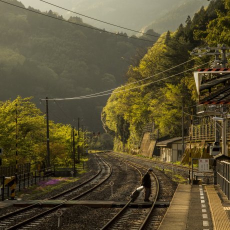 Discover Shikoku in Six Days Discover Shikoku in Six Days
