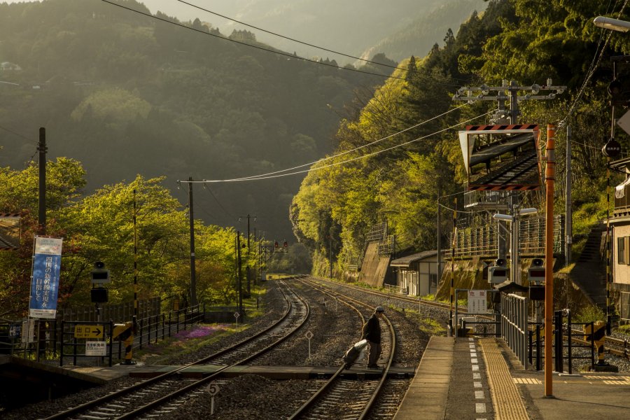 Discover Shikoku in Six Days