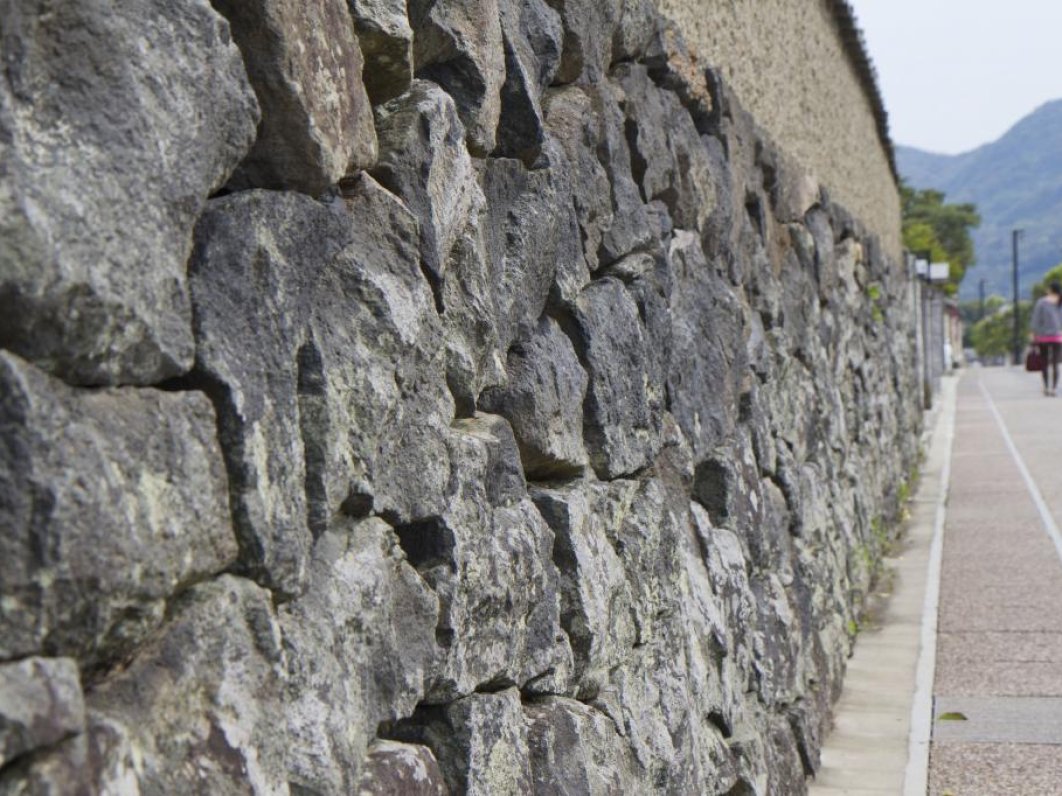 A well-preserved garden wall