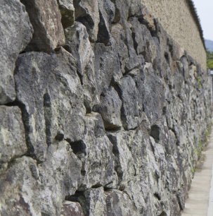A well-preserved garden wall