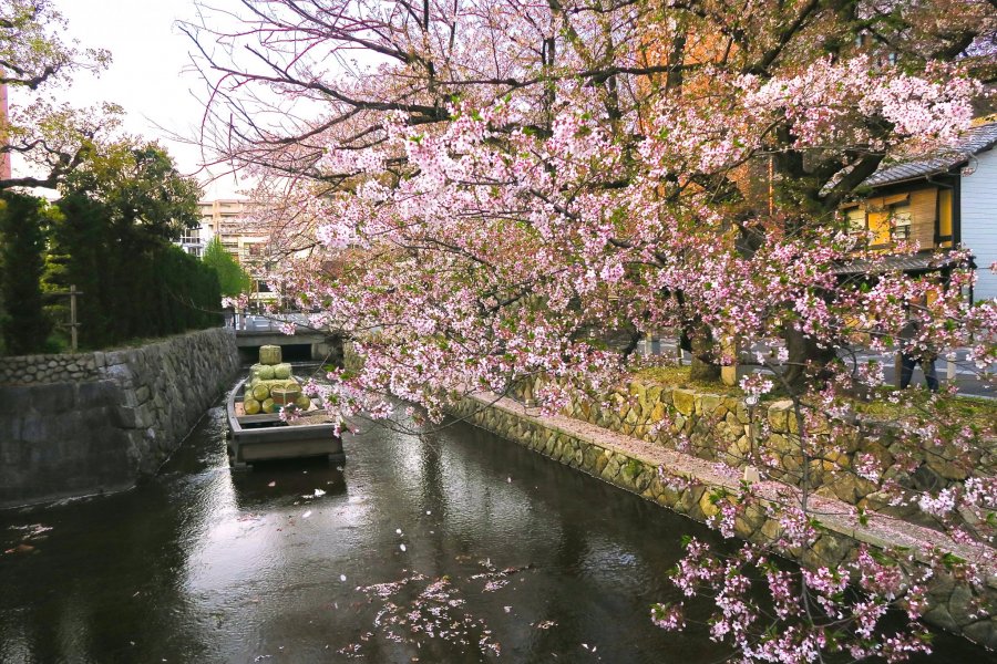 Kiyamachi, Kyoto