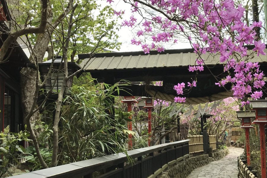 Mount Mitake and Mitake Shrine 
