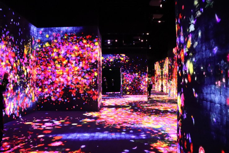 Digital Museum: TeamLab Borderless - Tokyo - Japan Travel - Japan ...