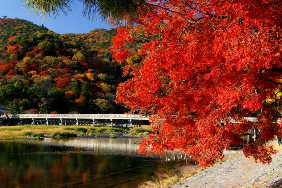 Kyoto's Arashiyama