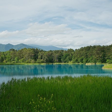 The Amazing Hues of Goshikinuma The Amazing Hues of Goshikinuma