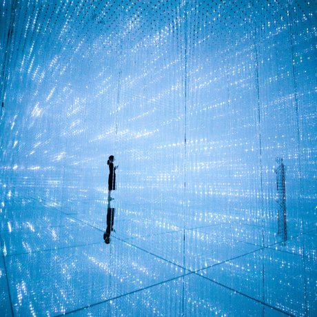 TeamLab Planets Tokyo TeamLab Planets Tokyo