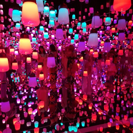 TeamLab Borderless TeamLab Borderless