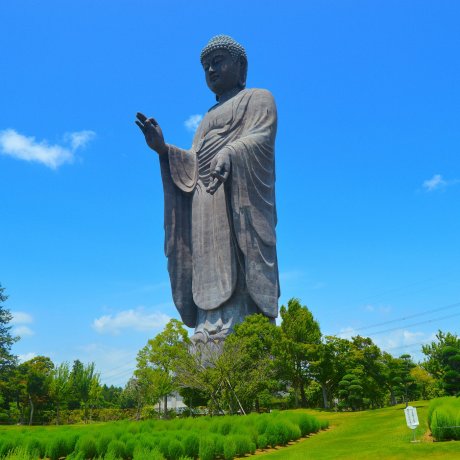 Be Amazed at the Ushiku Daibutsu Be Amazed at the Ushiku Daibutsu