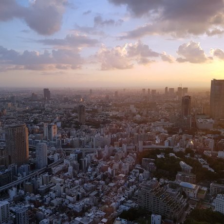 Tokyo Tower: Top Deck Tour Tokyo Tower: Top Deck Tour
