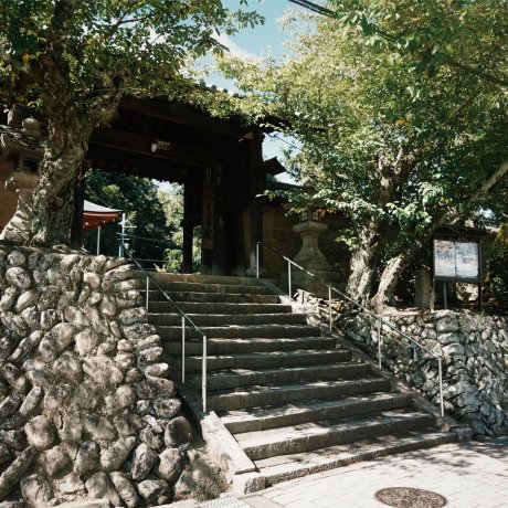 Niutsuhime-jinja Shrine & Jison-in Temple Niutsuhime-jinja Shrine & Jison-in Temple