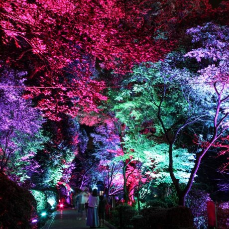 Beppu Umi Jigoku (Sea Hell) Night Beppu Umi Jigoku (Sea Hell) Night