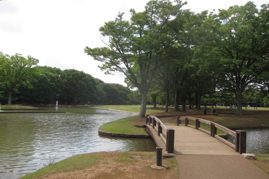 A Day at Yoyogi Park