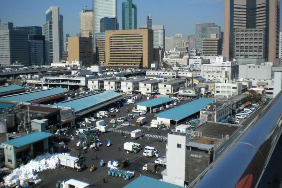 Touring Tsukiji's Outer Market