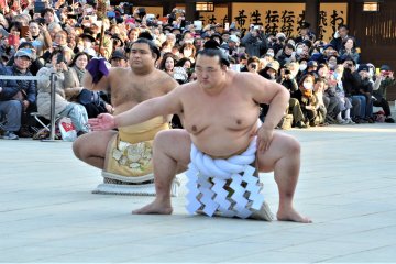 November Grand Sumo Tournament (Fukuoka)