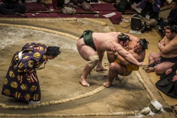 November Grand Sumo Tournament (Fukuoka)