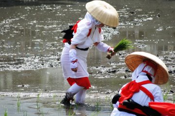 Otaue Rice Planting Festival