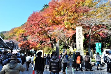 Mount Takao Autumn Leaves Festival