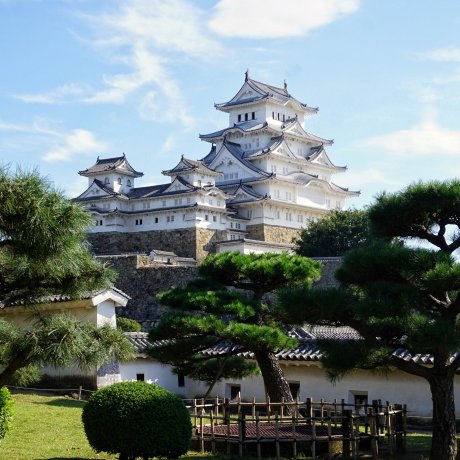 Come for the Castle, Stay for the Sake: Himeji Come for the Castle, Stay for the Sake: Himeji