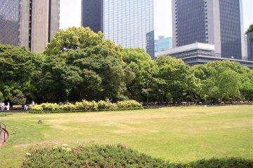 Tokyo Farmers and Kids Festa