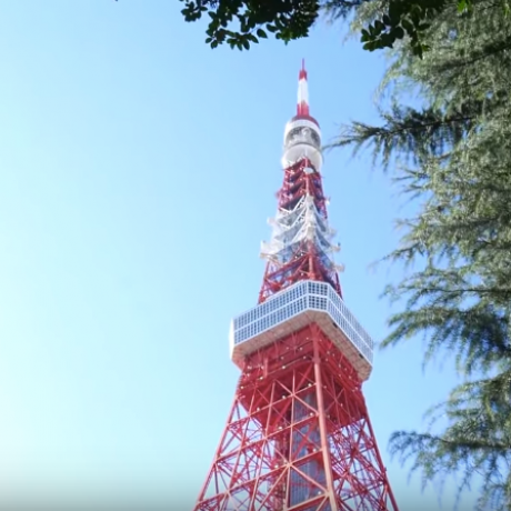 Tokyo Tourist Traps Tokyo Tourist Traps