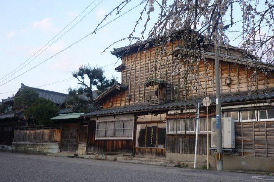 Imayotsukasa Sake Brewery, Niigata