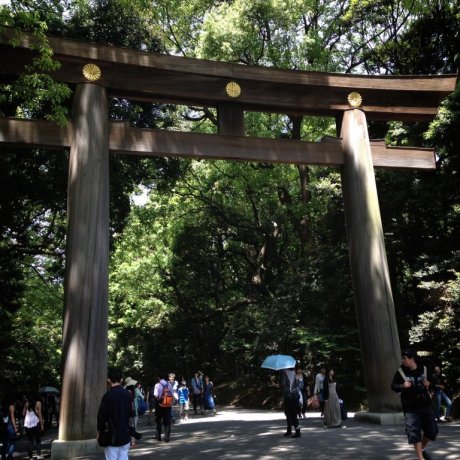 Meiji Shrine (Meiji Jingu) Meiji Shrine (Meiji Jingu)