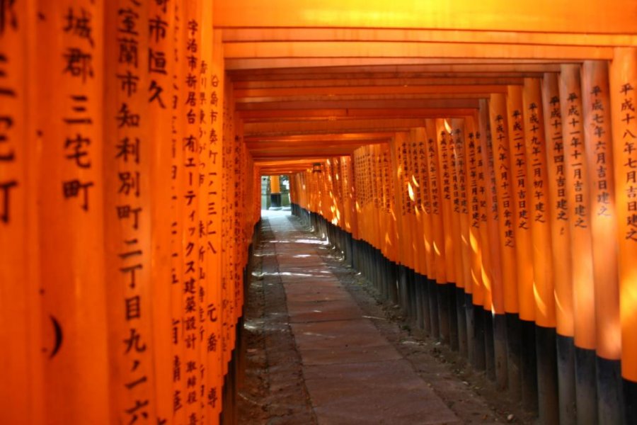 My Visit to Fushimi Inari Shrine