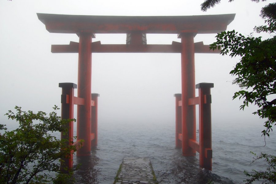 Foggy Days in Hakone