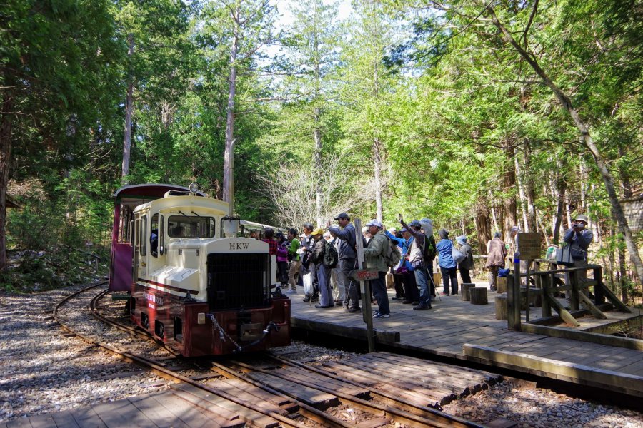 Agematsu Forest Adventures