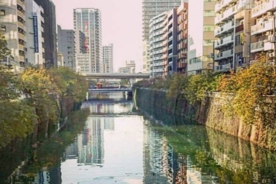 Scenic Walks Around Tokyo