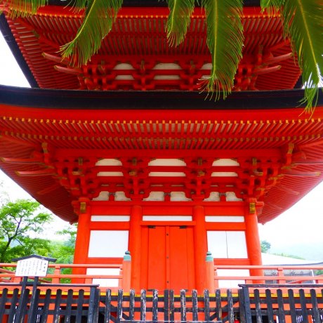 Miyajima's Five Story Pagoda Miyajima's Five Story Pagoda