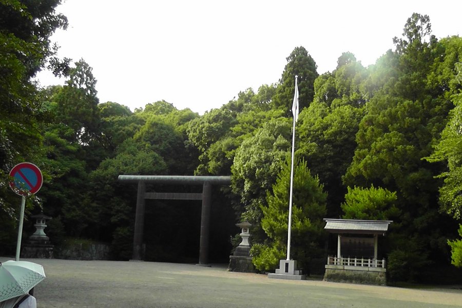 The Miyazaki Shrine Forest - Part 1