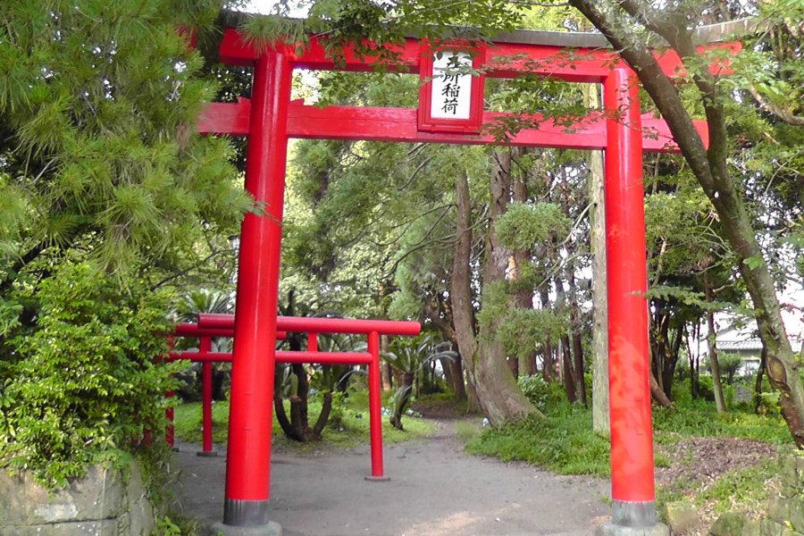 The Miyazaki Shrine Forest - Part 2