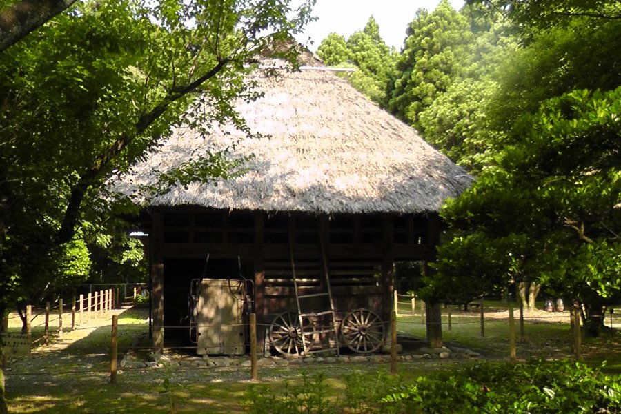 The Miyazaki Shrine Forest - Part 4