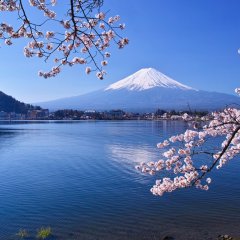 Yamanashi Guide: Things to do in Yamanashi - Japan Travel