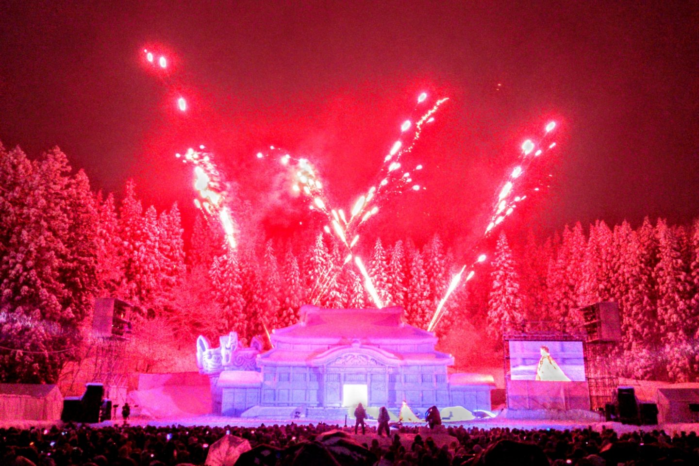 Tokamachi Snow Festival