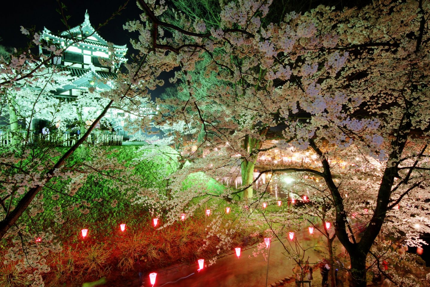 Takada Castle Sakura Festival