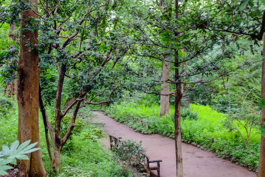 Arisugawa no Miya Memorial Park