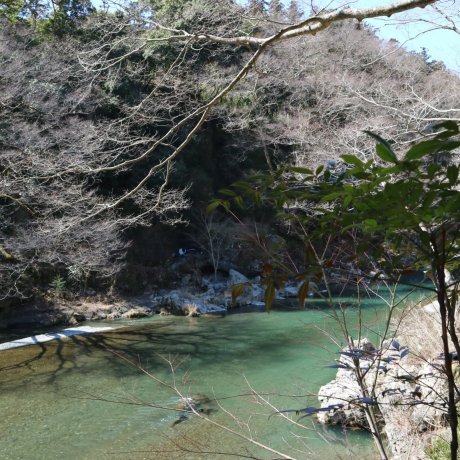 Hidden Gems in Western Tokyo Hidden Gems in Western Tokyo