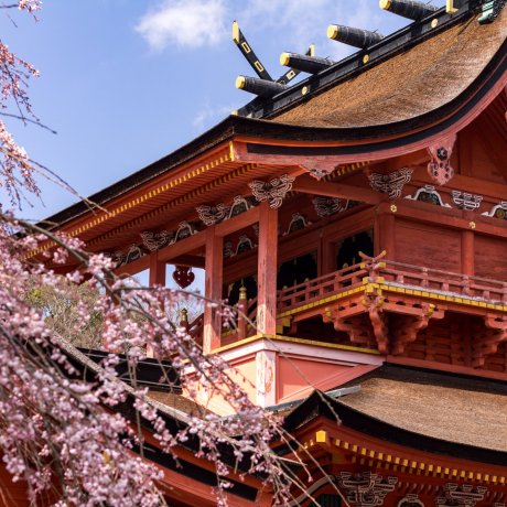 Fujisan Hongu Sengen Taisha Fujisan Hongu Sengen Taisha