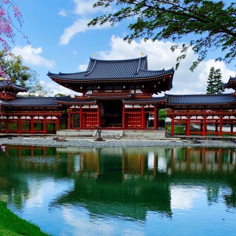 The Past and Present of Byoudou-in The Past and Present of Byoudou-in