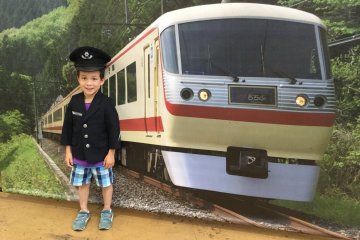 Seibu Train Festa