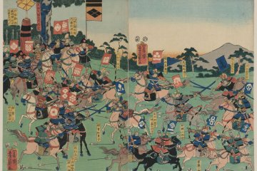 Will You Fight Or Watch?