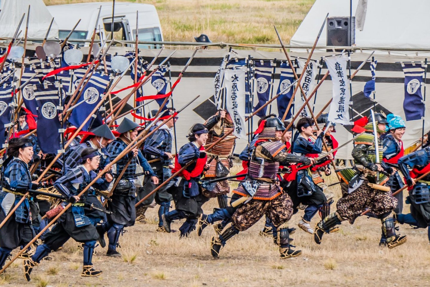 Will You Fight Or Watch?