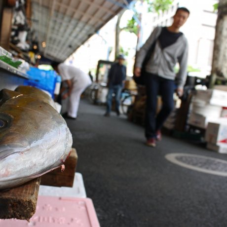 Tsukiji Outer Market Tsukiji Outer Market